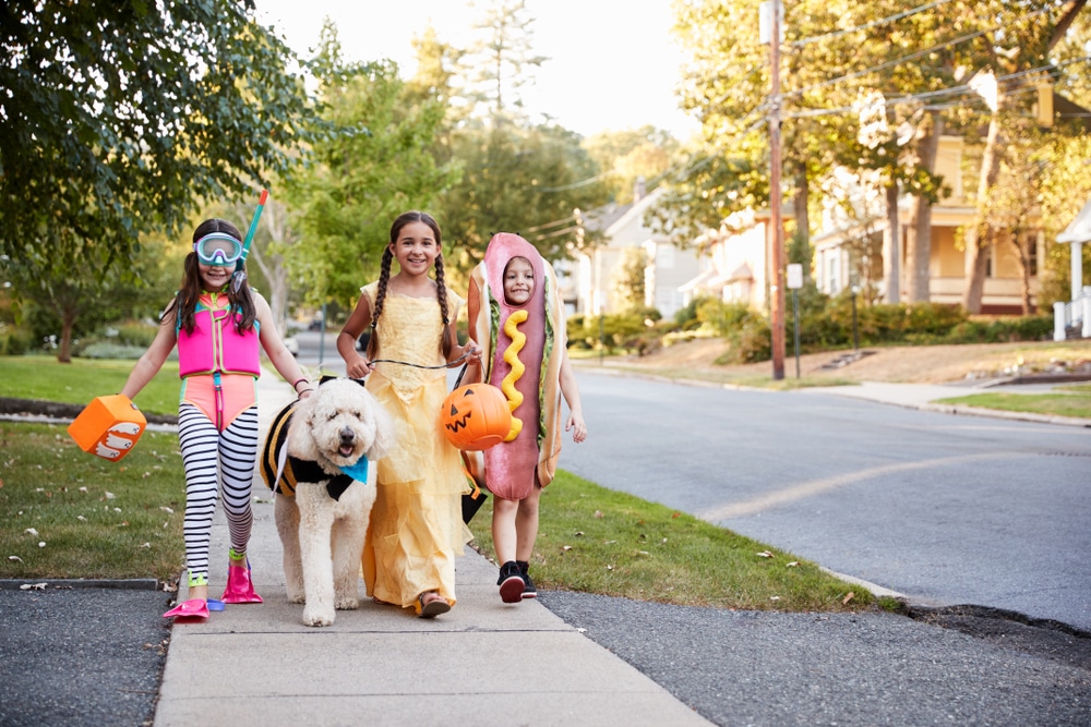 october-is-national-pedestrian-safety-month-austin-tx